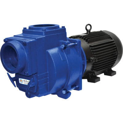 IPT Cast Iron Self-Priming Centrifugal Sewage/Trash Water Pump — 4in. Ports, Model# 399C-IPT-95