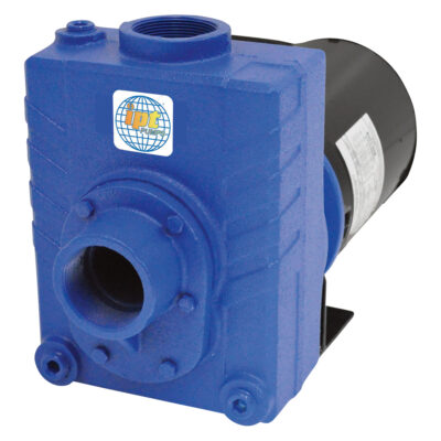 IPT Cast Iron Self-Priming Centrifugal Water Pump — 9,000 GPH, 3 HP, 2in., 3-Phase, Model# 2766-IPT-95